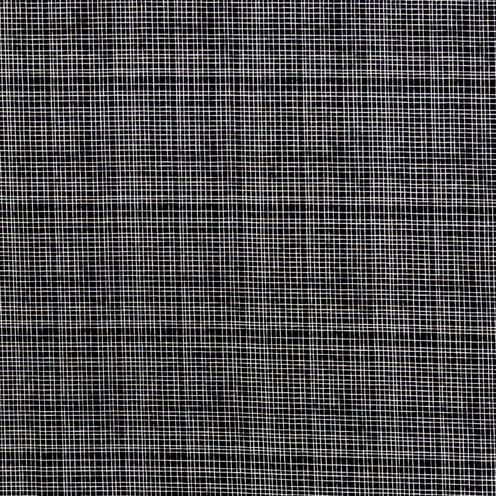 Camelot Fabrics Mixology Black Woven Cotton Home Décor Fabric